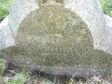 image of grave number 446120